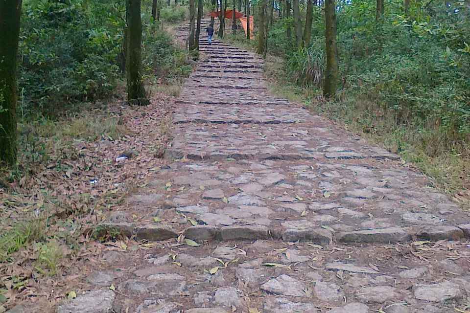 A stone path through pine forest on Con Son mountain