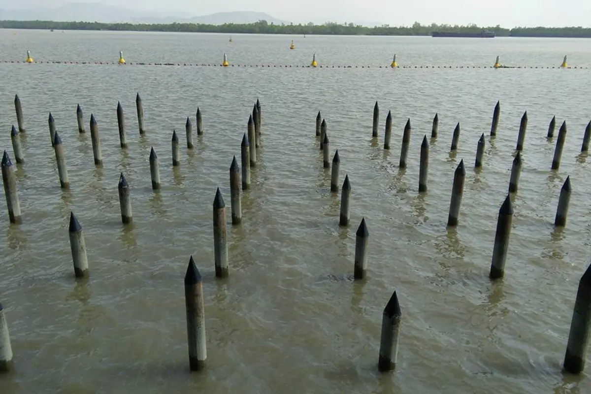 Replica of the hidden stakes from the battle of Bach Dang in 938, set in the water at the Trang Kenh memorial site, Thuy Nguyen
